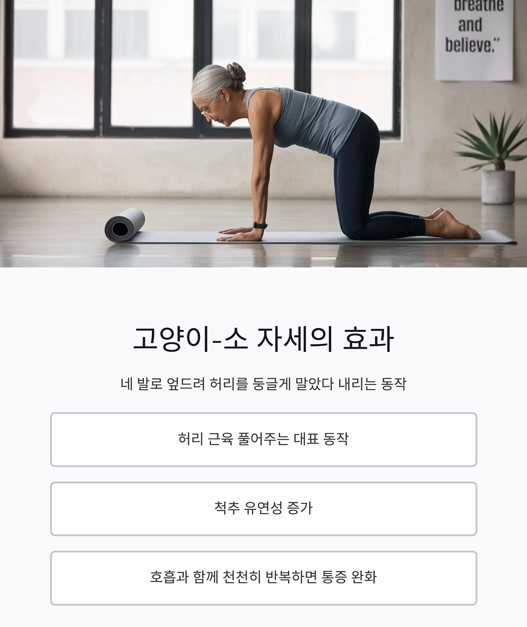 시니어 요가로 허리 통증 잡는 비밀 스트레칭 공개
