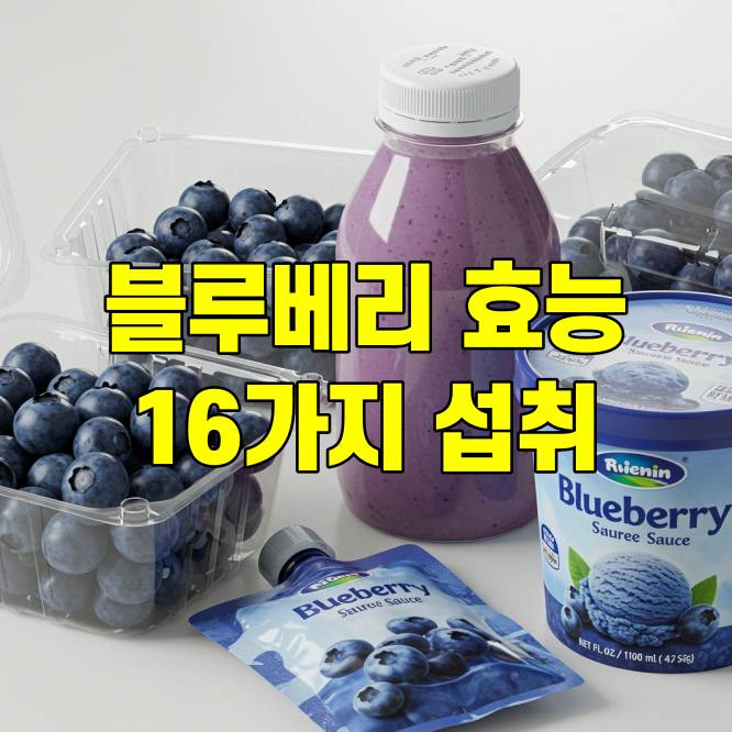 블루베리 효능 16가지