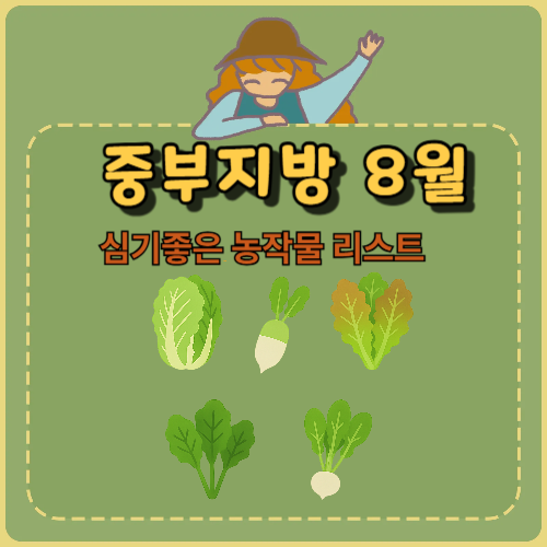 중부지방 8월 텃밭, 지금 바로 심어야 할 작물들