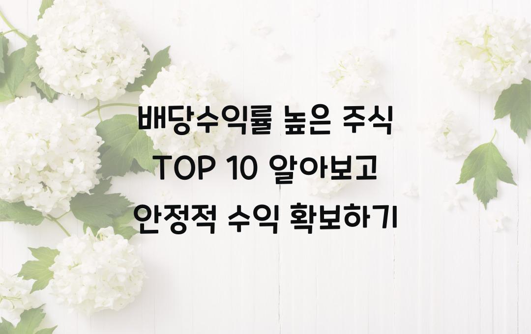 배당수익률 높은 주식 TOP 10 (안정적인 수익을 위한 추천 종목)