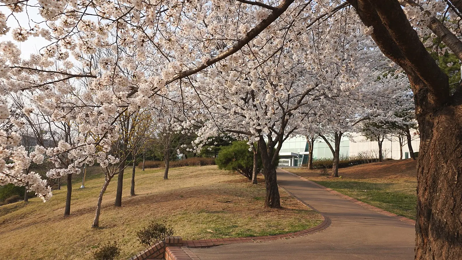평택 송탄유원지2