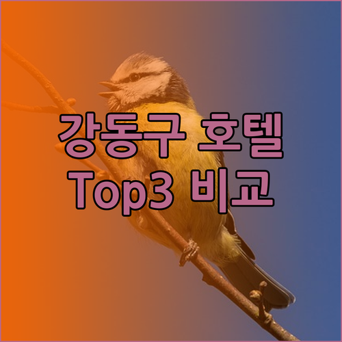 강동구 호텔 어디가 좋을까? [moo