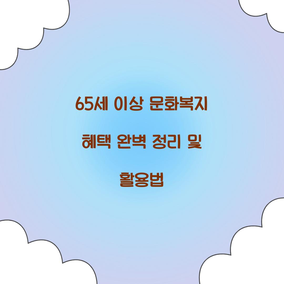 65세 이상 문화복지
