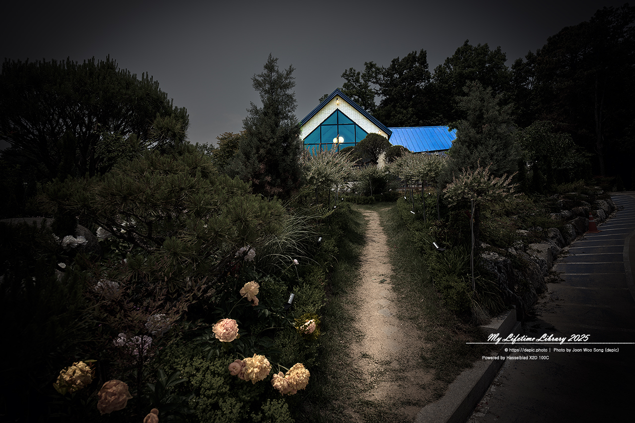 #카페 #꽃 #청주 #오창 #숲이그린정원