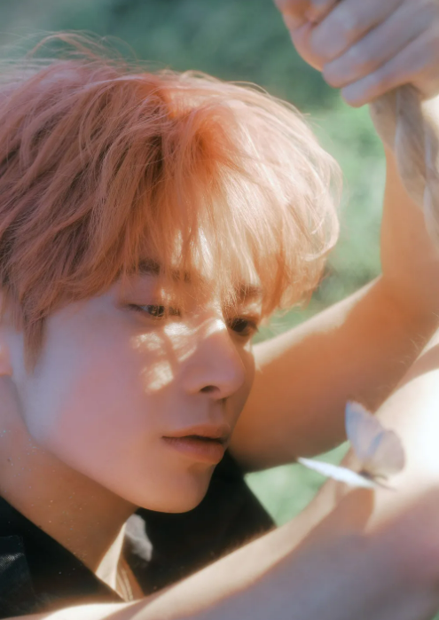 투바투 앨범 멤버