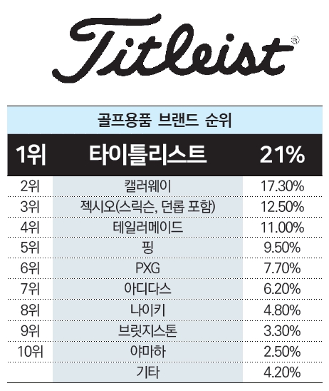 초보 골퍼 가성비 골프공 추천 – 가격 대비 성능 좋은 공은 이것