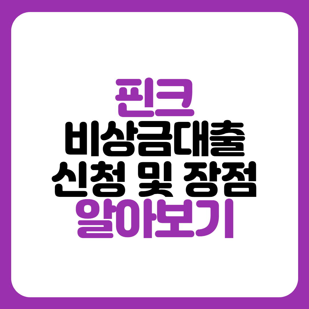 핀크 비상금대출