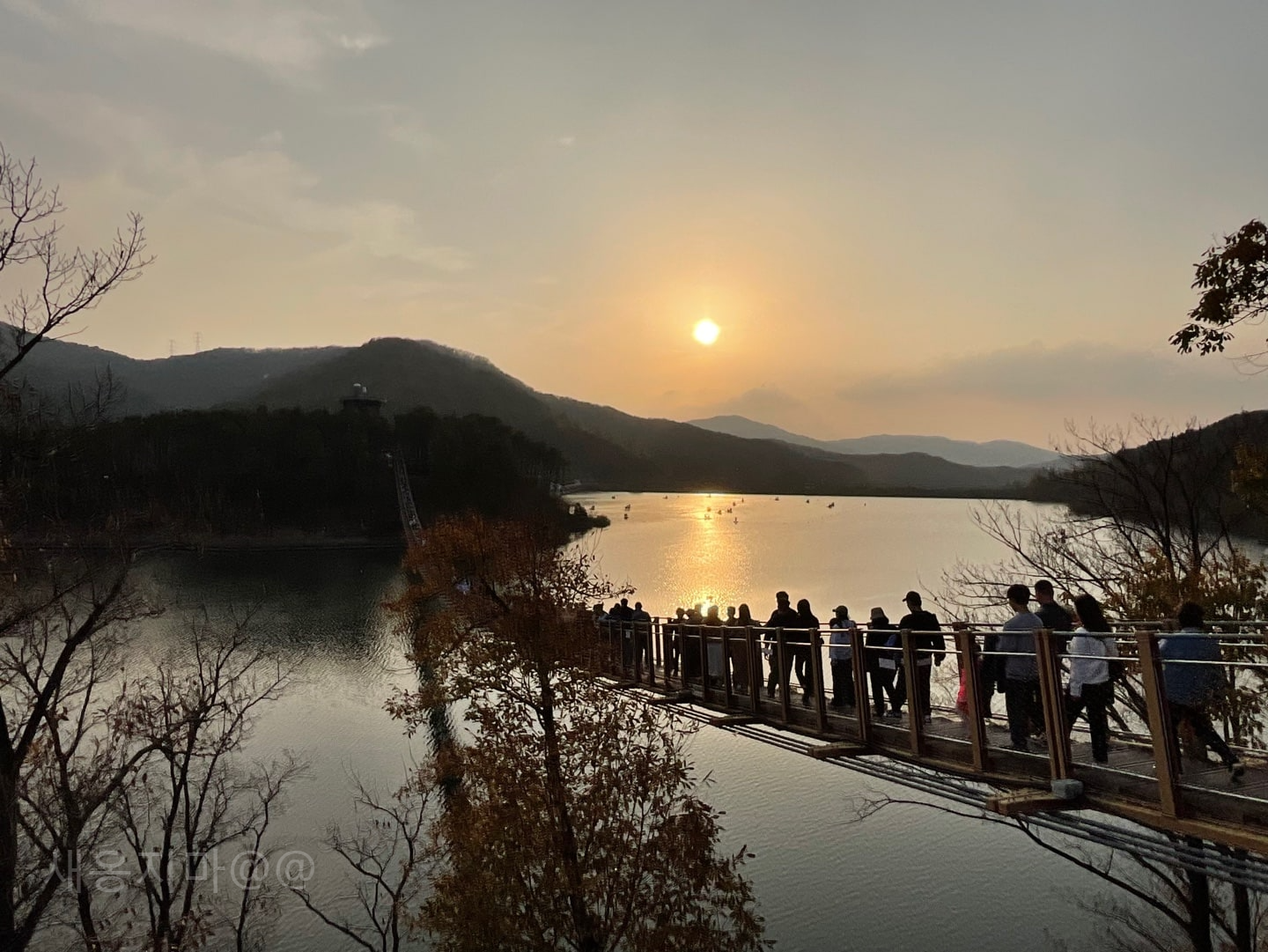 출렁다리-건넌-후-풍경
