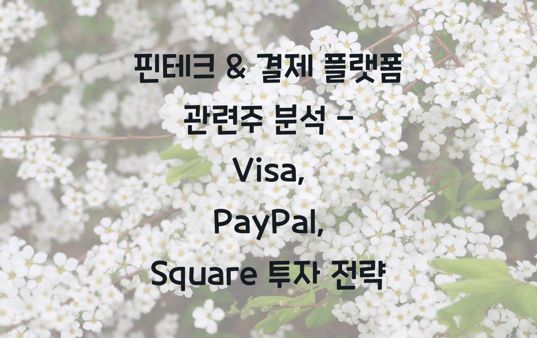 핀테크 & 결제 플랫폼 관련주 (Visa, PayPal, Square 등)