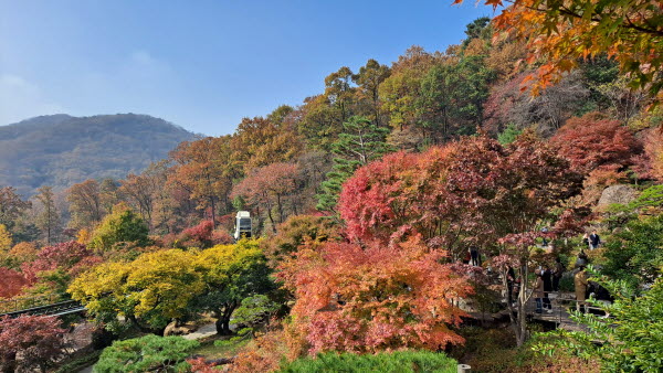 단풍명소_화담숲_모노레일