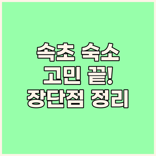 속초 숙소 고민 끝 롯데, 라마다, ..