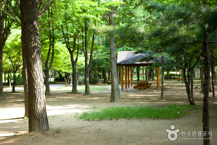 2024 가을 여행지 단풍 명소 추천