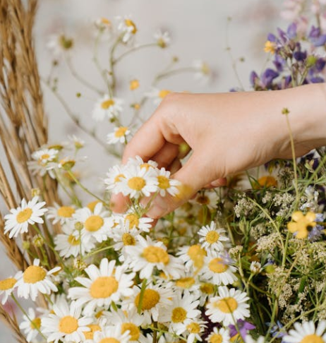 경기도 가볼만한곳 추천