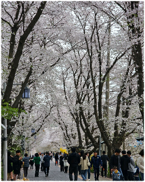 북산