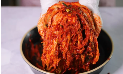 김장배추 파종 시기 알아보기 1