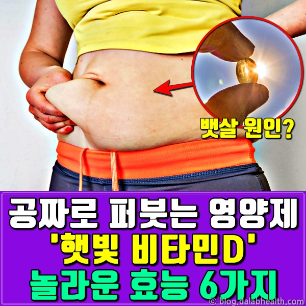 비타민d 부족증상