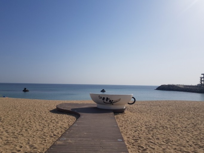 안목해변&커피거리사진