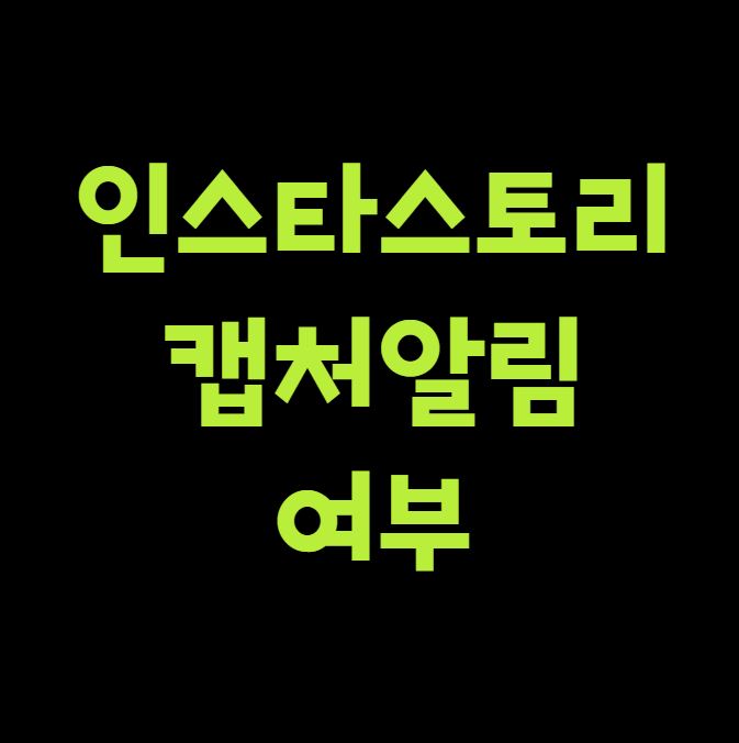 인스타 스토리 캡처 알림 여부