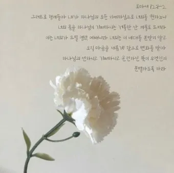 로마서 12장 설교 아이디어 말씀 준비 강해_12