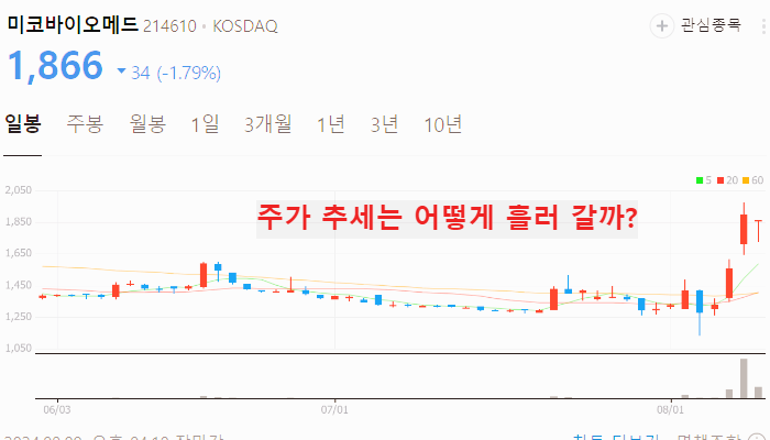 엠폭스 관련주 대장주 TOP10 : 원숭이두창