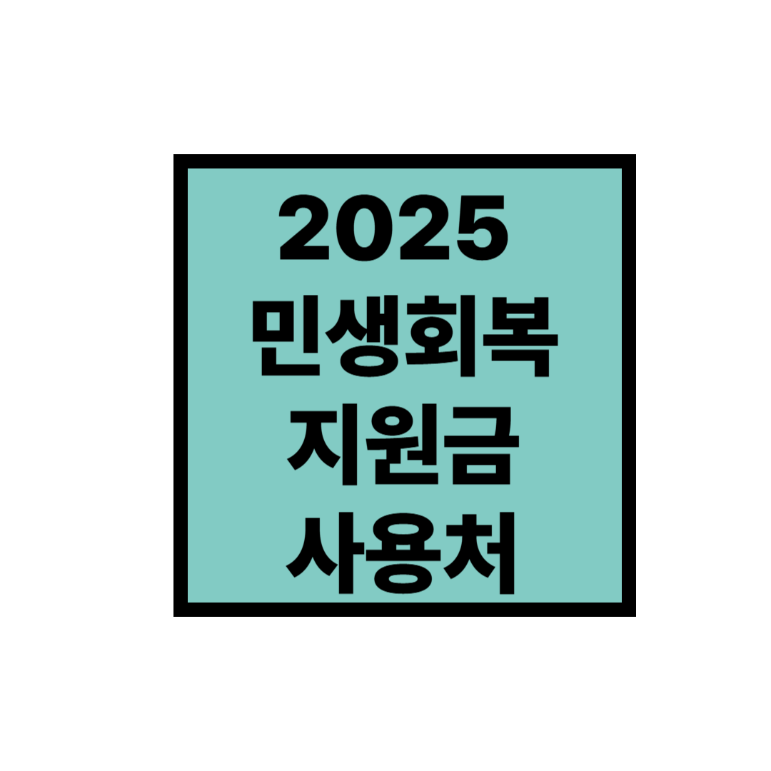 2025 민생회복 지원금 사용처