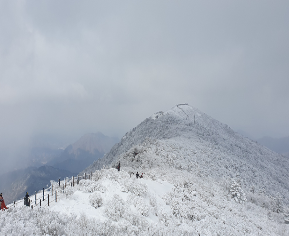 겨울 여행 추천
