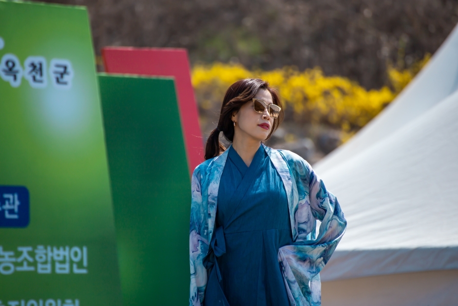 2024년 제 22회 옥천묘목축제 기본일정 및 프로그램 소개(민수현 안성훈 최은혜 김태웅 과일나무 출연) feat 과일나무 2만 그루 무료 나눔