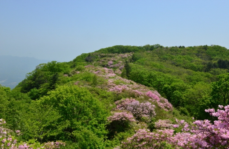 축령산 자연휴양림