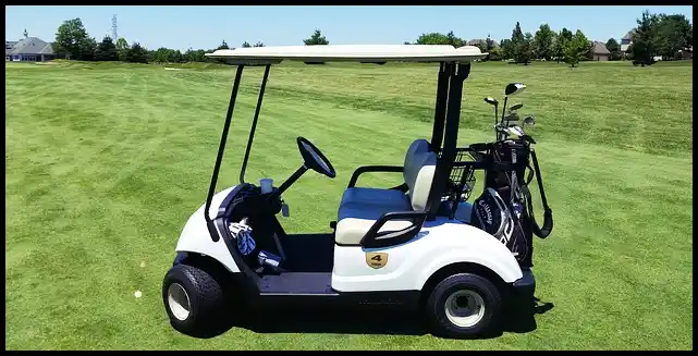 파크골프 용어 정리 (+ 해설 )