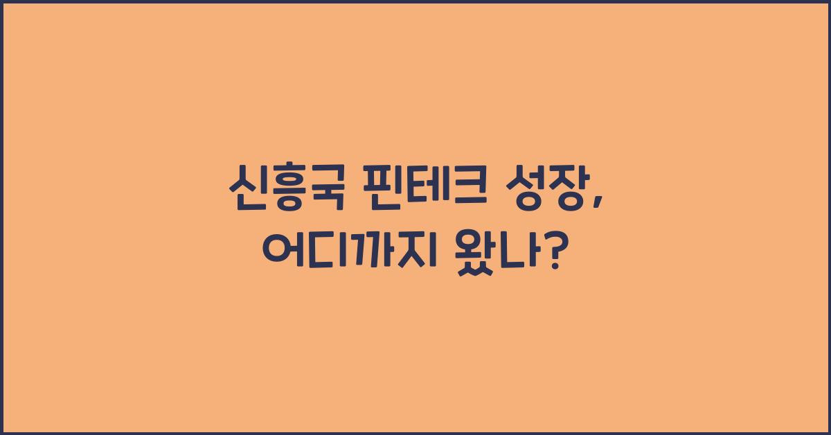 신흥국 핀테크 성장