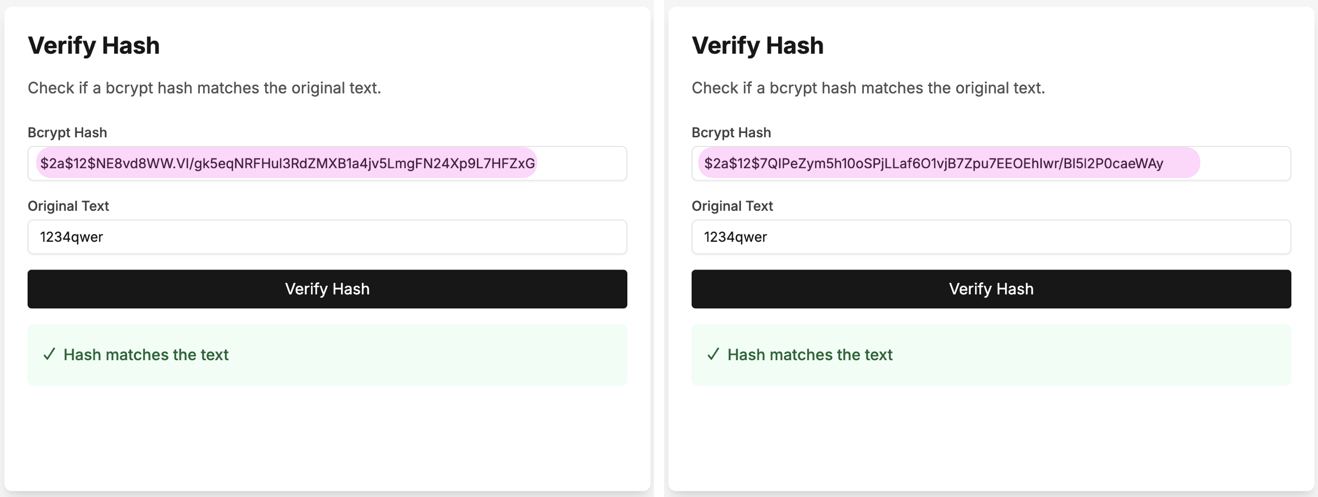 BCrypt 해시값 검증 성공