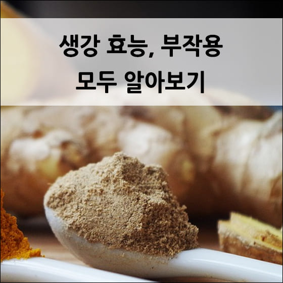 생강가루가 담긴 숟가락