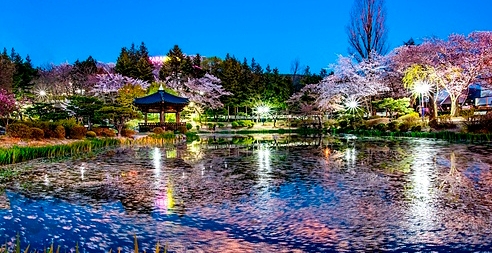 경주이미지
