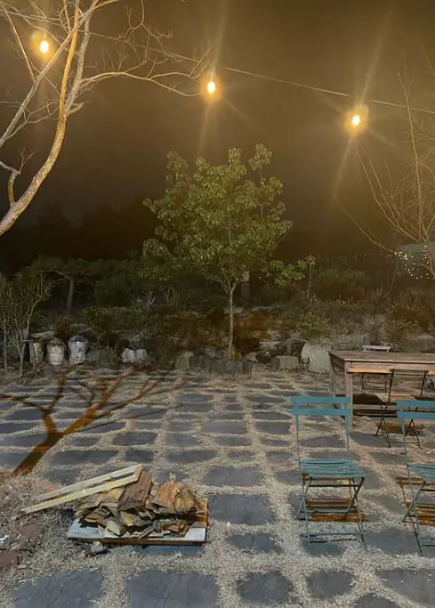 포레스트502