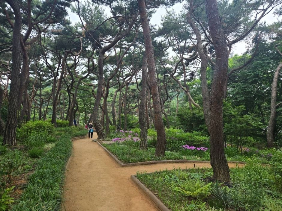 가을 단풍 명소 추천 BEST