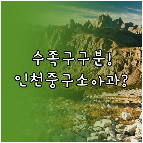 수족구 증상 구분과 인천 중구 소아청..