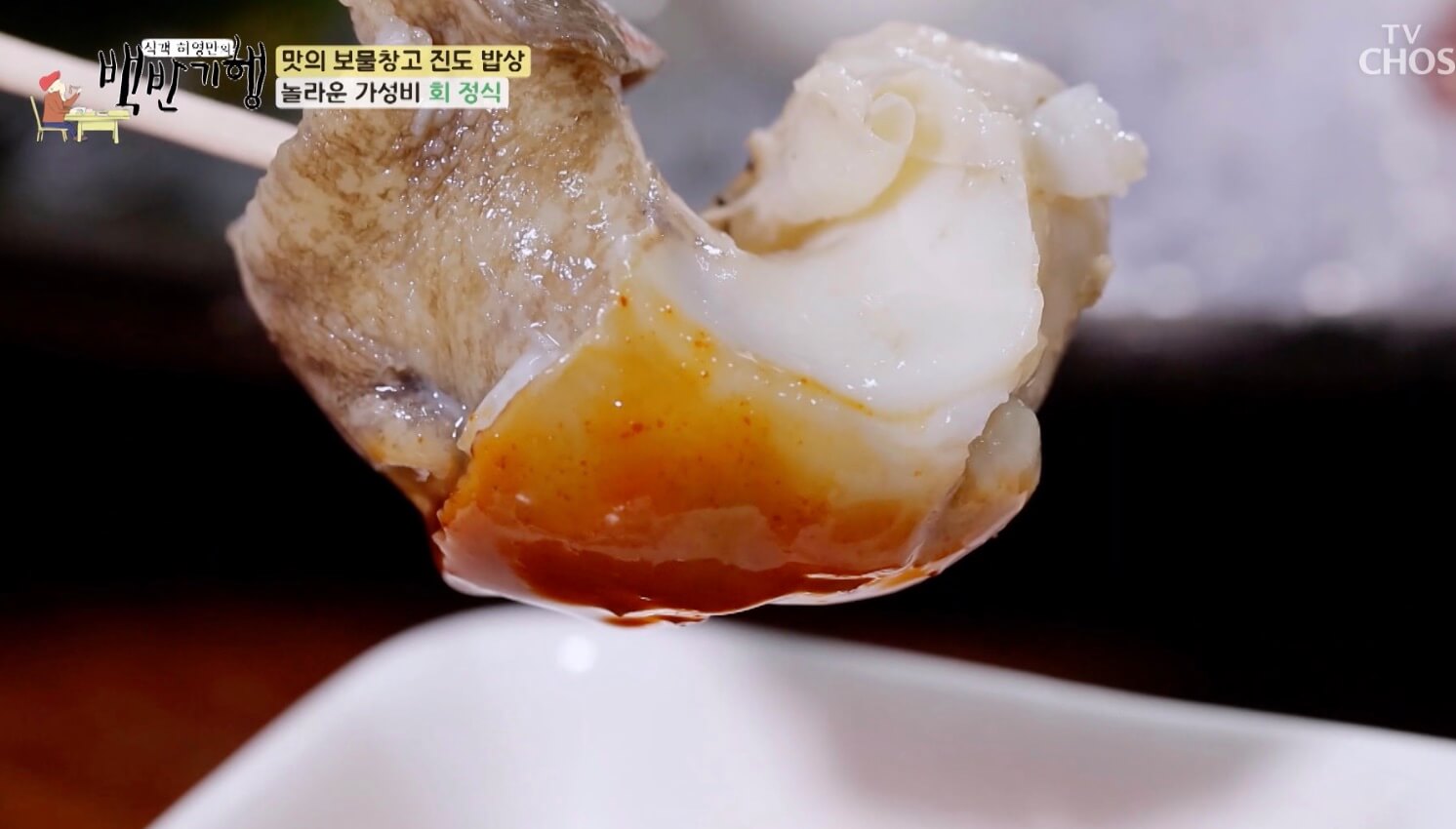 백반-기행-진도-밥상-가성비-회정식-정보-안내