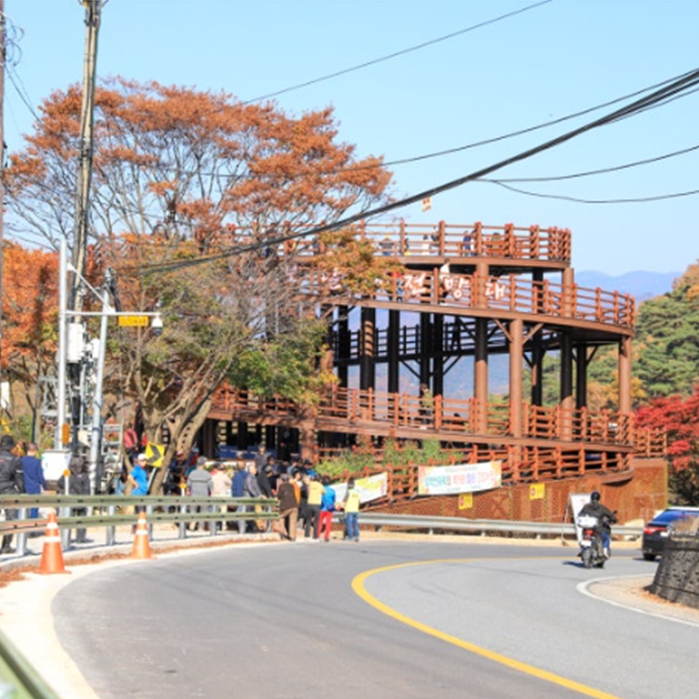 단양 보발재 단풍시기