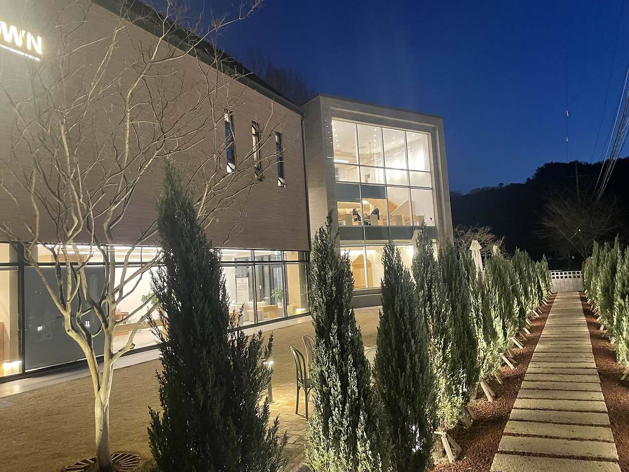 포항 반다이크 브라운