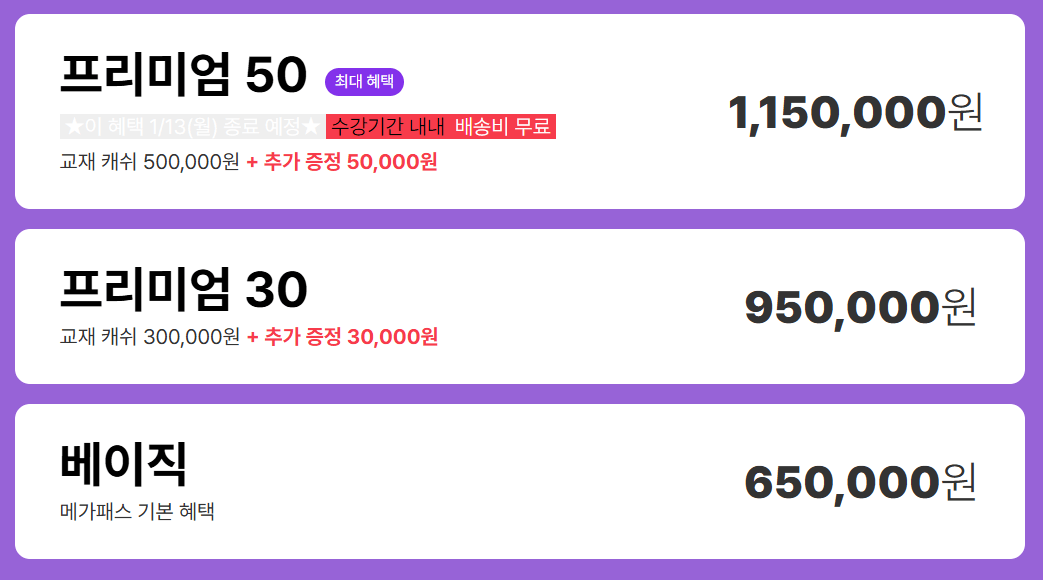 메가 패스 가격