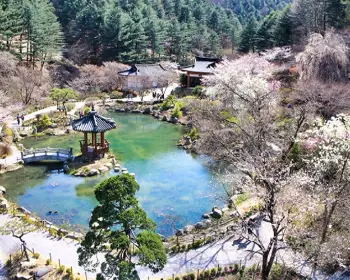 아침고요수목원_19