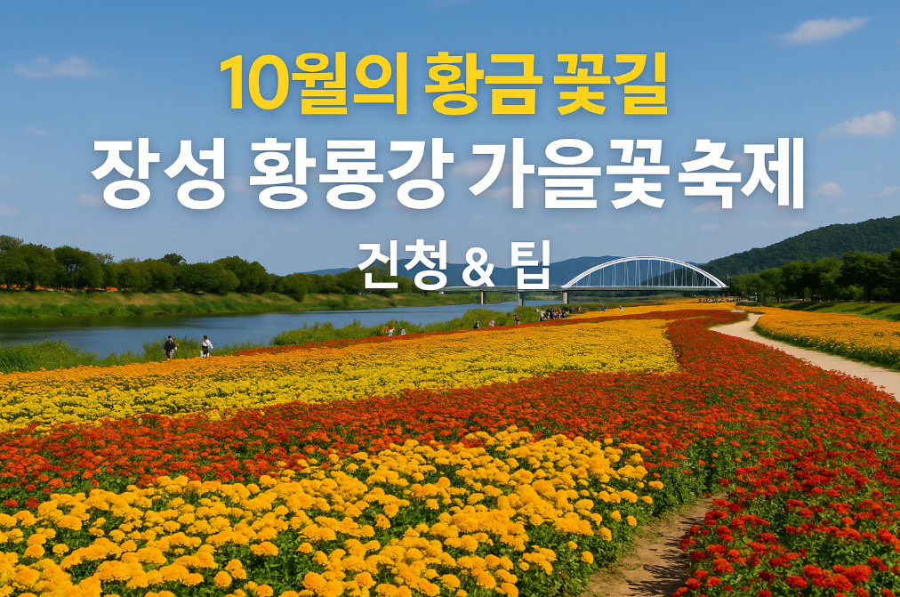 장성 황룡강 가을꽃 축제 일정 &amp; 팁