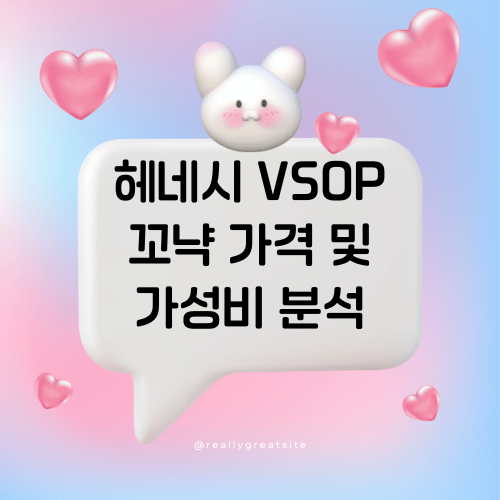 헤네시 VSOP 꼬냑 가격 및 가성비 분석