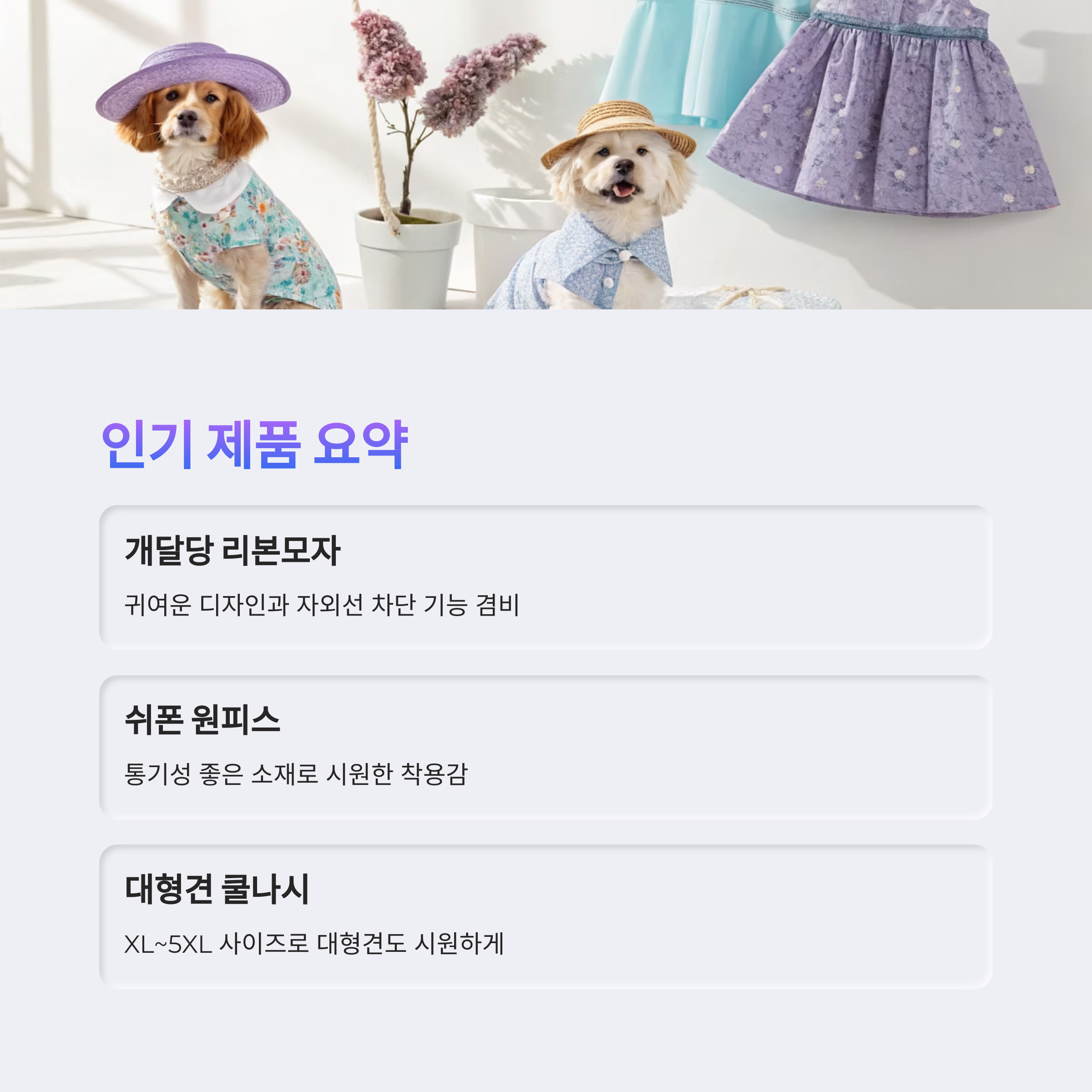 인기 제품 요약