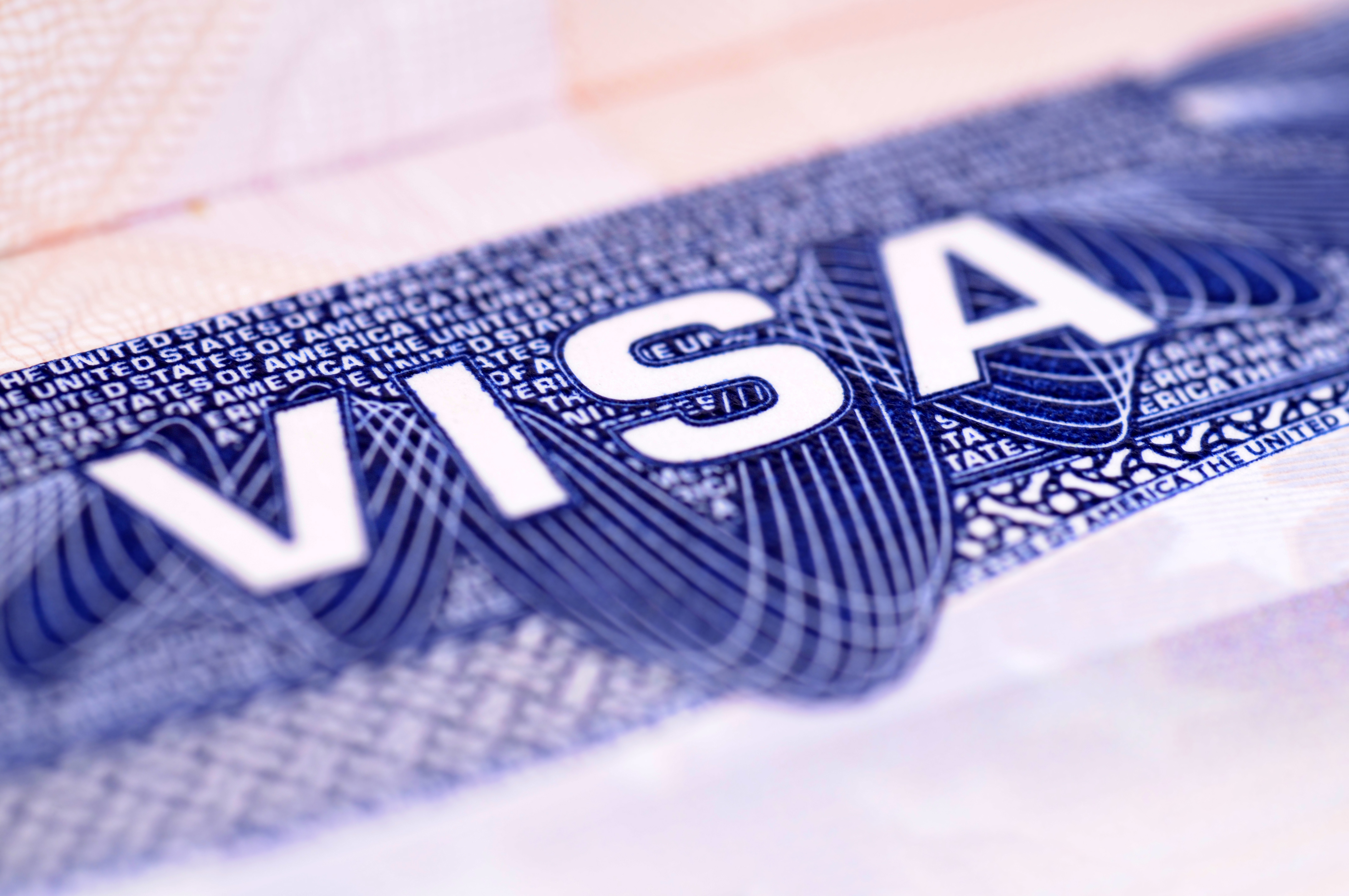 미국 VISA 사진