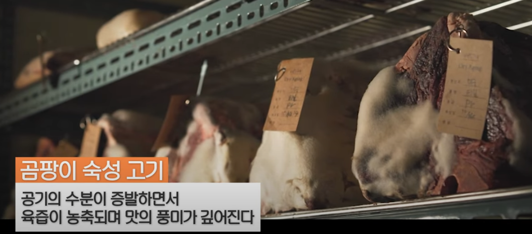 미운우리새끼 배성재 털곰팡이 스테이크 식당