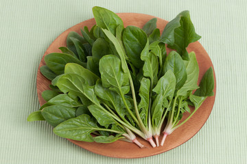 치매에좋은음식