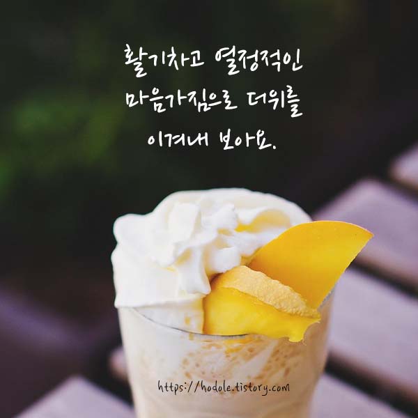 여름인사말이미지