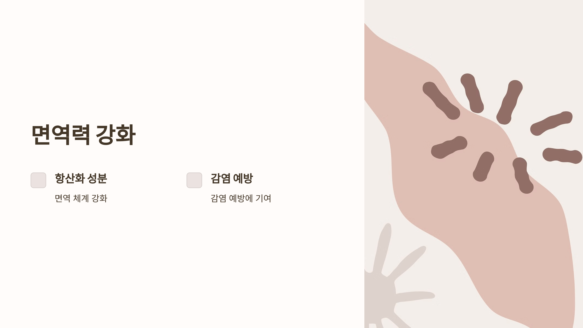 인진쑥 사진입니다.