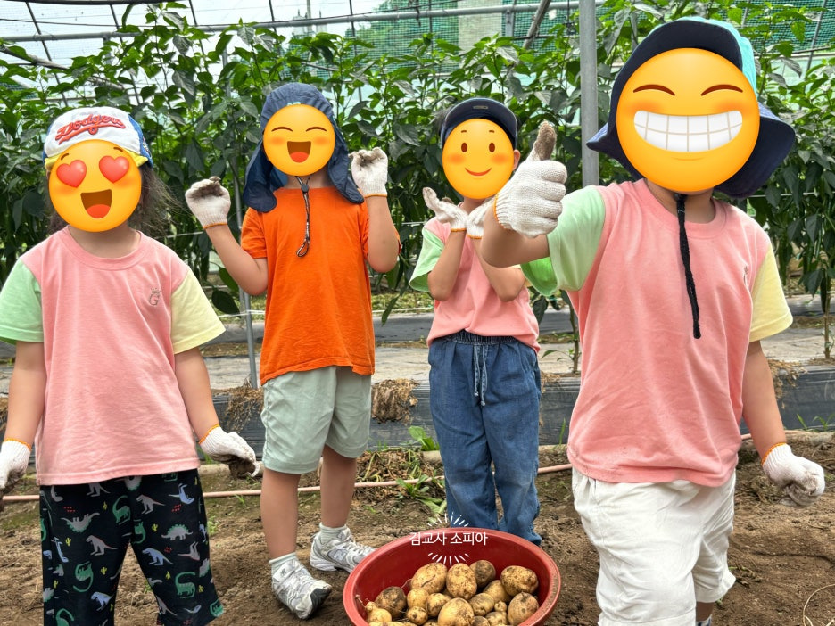 "아이랑 감자 수확 체험 가봤더니… 놓치면 아쉬운 준비물 까지 총정리!"